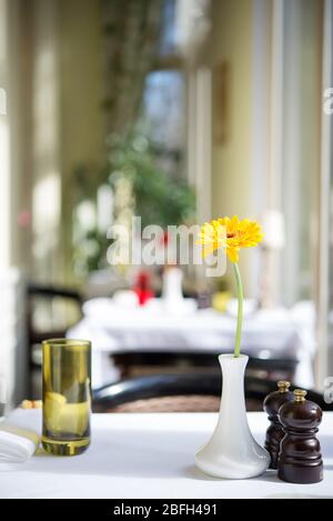 Gemütliche helle Restaurant-Interieur. Selektive Fokus Stockfoto