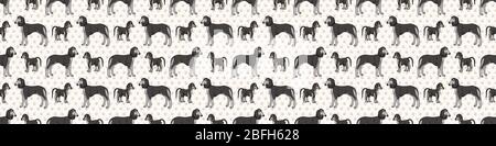 Hand gezeichnet niedlichen saluki Hund und Welpen Rasse nahtlose Border Muster. Reinrassige Stammbaum Hund Hintergrund. Hundeliebhaber Barsoi Haustier Washi Band Stock Vektor