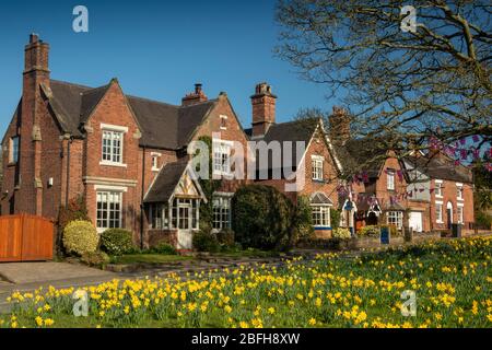 Großbritannien, England, Cheshire, Astbury, Frühling, Narzissen auf dem Dorfgrün und St. Mary’s Church Stockfoto