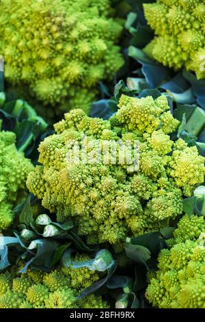 Blumenkohl romanesco auf dem Straßenmarkt Stockfoto