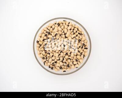 April 2020, Ansicht von Black Eyed Beans in EINER transparenten Schale, auf weißem Hintergrund, UK Stockfoto