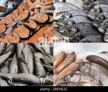 Collage aus verschiedenen Arten von frischem Fisch auf Eis in einem Supermarkt, Draufsicht. Nahaufnahme von gefrorenem Fisch in einem Lebensmittelgeschäft für Rohkost Hintergrund verwendet Stockfoto