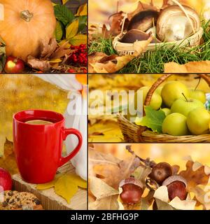 Collage aus schönen Herbst Stockfoto