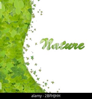 Grüne Blätter, isoliert auf weiss Stockfoto