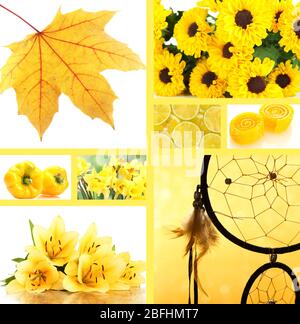 Collage von Fotos in gelben Farben Stockfoto