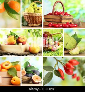 Collage aus Gartenfrüchten und Beeren Stockfoto