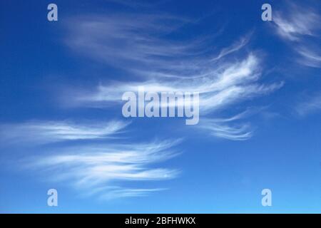 Ein Beispiel für Cirrus, eine Hauptwolkengattung, die in großer Höhe vorkommt. Stockfoto