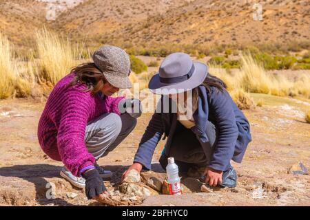 Pachamama-Feier mit Alkoholzigaretten und Coca-Blättern vor dem Picknick im Freien, Susques, Department Jujuy, Argentinien, Lateinamerika Stockfoto