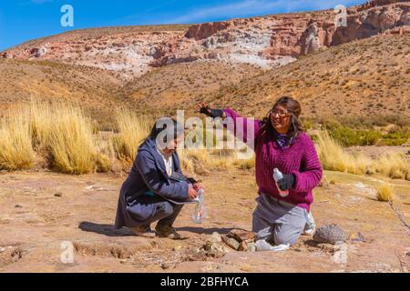 Pachamama-Feier mit Alkoholzigaretten und Coca-Blättern vor dem Picknick im Freien, Susques, Department Jujuy, Argentinien, Lateinamerika Stockfoto