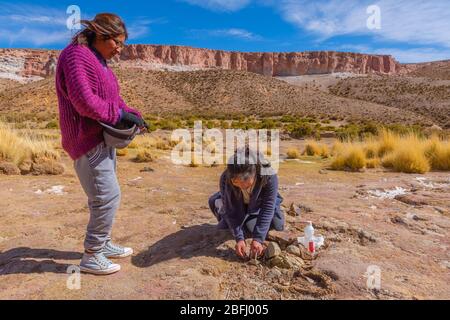 Pachamama-Feier mit Alkoholzigaretten und Coca-Blättern vor dem Picknick im Freien, Susques, Department Jujuy, Argentinien, Lateinamerika Stockfoto