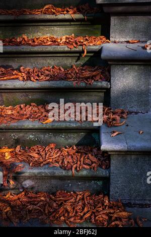 Vintage-Treppe mit alten Steintreppen bedeckt mit Herbstblättern, beleuchtet von sanftem Sonnenlicht Stockfoto