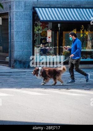 Cremona, Lombardei, Italien - 19. April 2020 - Hundespaziergehen, Alltag während des Ausbruchs der Sperre von Covid-19 Stockfoto