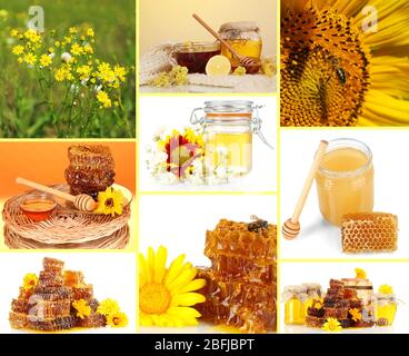 Bienenzucht Collage Stockfoto