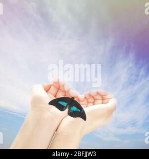 Menschliche Hände mit Schmetterling auf Himmel Hintergrund Stockfoto