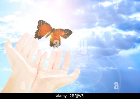Menschliche Hände mit Schmetterling auf Himmel Hintergrund Stockfoto