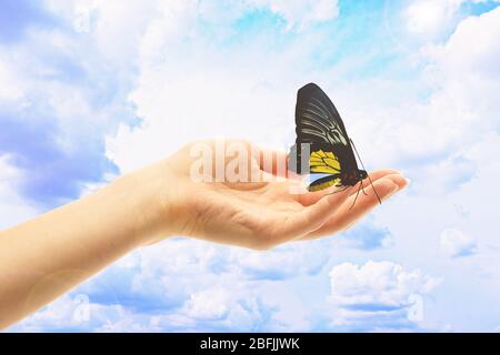 Menschliche Hand mit Schmetterling auf Himmel Hintergrund Stockfoto
