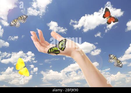 Menschliche Hände mit Schmetterling auf Himmel Hintergrund Stockfoto