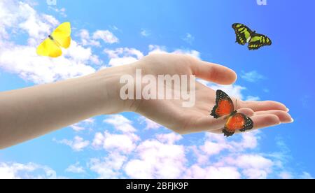 Menschliche Hände mit Schmetterling auf Himmel Hintergrund Stockfoto