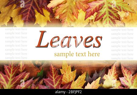 Herbst-Konzept Stockfoto