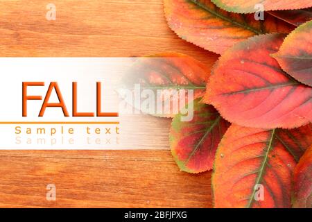 Herbst-Konzept Stockfoto