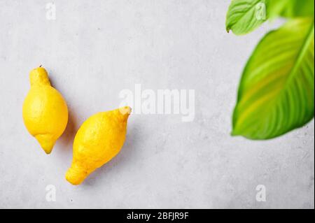 Zwei unvollkommene Zitronen auf grauem Schiefer Hintergrund. Hässliches Obst Konzept. Falsche Form Zitronen Stockfoto