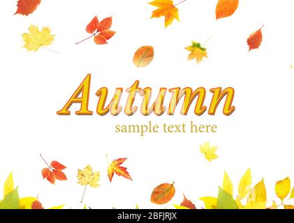 Herbst-Konzept Stockfoto