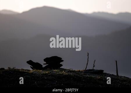 Kaukasus, Georgien, Tusheti Region, Omalo. Steine auf dem Boden mit Bergen im Hintergrund in der Morgendämmerung gestapelt Stockfoto