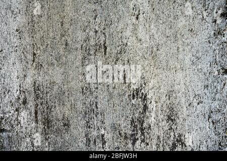 Grauer alter Betonhintergrund. Die alte Mauer war gestreift und verkratzt. Alte Kalk verrottet an den Wänden. Stockfoto