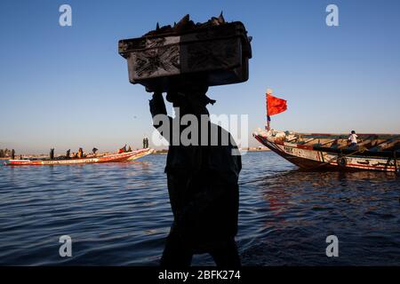 Fischer, die den Fang des Tages in Guet Ndar, Saint Louis, Senegal, ausladen. Stockfoto