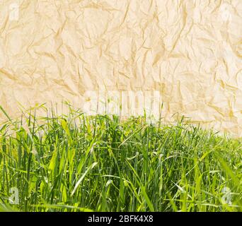 Schönes grünes Feld auf altem Papier Textur Hintergrund Stockfoto