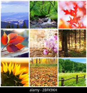 Schöne Natur Collage Stockfoto