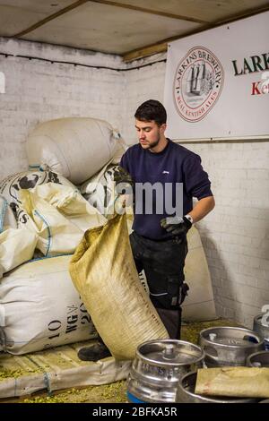 Wiegen Sie den Hopfen für die Brauerei in der preisgekrönten Brauerei und Hopfenfarm der Larkins Brewery in Chiddingstone, Kent, Großbritannien Stockfoto