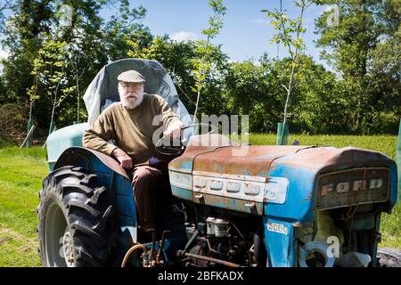 Hopfenbauer auf dem Traktor bei der Hopfenernte und Hopfenernte in der Larkins Brewery, der preisgekrönten Brauerei und Hopfenfarm in Chiddingstone, Kent, Großbritannien Stockfoto