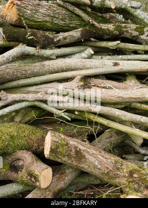 Nahaufnahme eines Holzstapels, Großbritannien Stockfoto