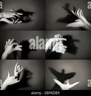 Hände Geste wie verschiedene Tiere und Figuren auf grauem Hintergrund Stockfoto