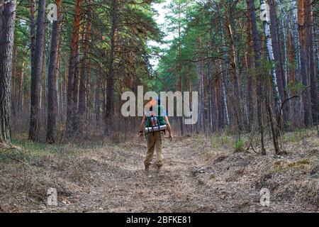 Rückansicht eines Menschen zu Fuß Werfen Sie den Wald mit einem großen Rucksack. Stockfoto