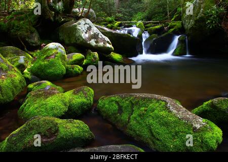 Bach auf dem tosenden Gabelmotorweg nahe Gatlinburg Tennessee im rauchigen Mountain National Park Stockfoto