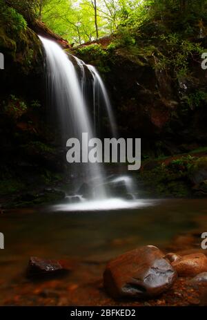 Grotto Falls Wasserfälle auf dem tosenden Gabelstapler nahe Gatlinburg Tennessee im rauchigen Mountain Nationalpark Stockfoto