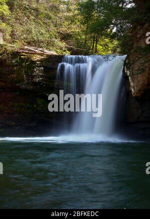 Savage fällt im Sommer im South Cumberland State Park in Tennessee Stockfoto