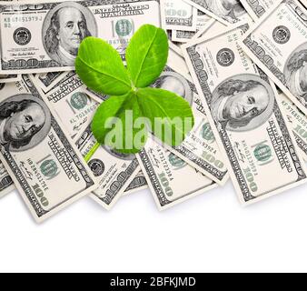 Kleeblatt und Dollar auf weißer Oberfläche Stockfoto