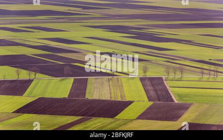 Vogelperspektive auf die Felder und landwirtschaftliche Parzelle. Luftaufnahmen. Stockfoto