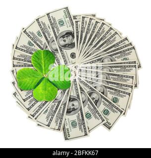 Kleeblatt und Dollar auf weißer Oberfläche Stockfoto
