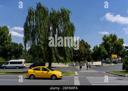 Ankara, Türkei - 24. Juli 2018: Gelbe Taxis stehen in der Nähe eines schönen sich ausbreitenden Baumes am Eingang zum Grab von Mustafa Kemal Atatürk Stockfoto