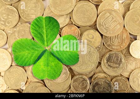 Kleeblatt- und Euromünzen, Nahaufnahme Stockfoto