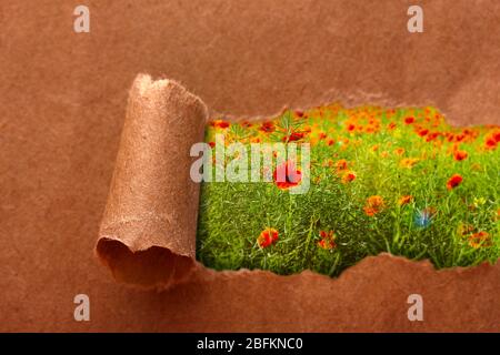 Papierrahmen mit schönen Natur Hintergrund Stockfoto