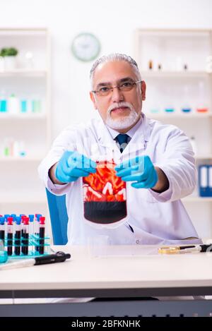 Der alte, im Labor arbeitende Chemiker Stockfoto