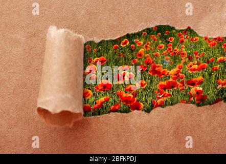 Papierrahmen mit schönen Natur Hintergrund Stockfoto