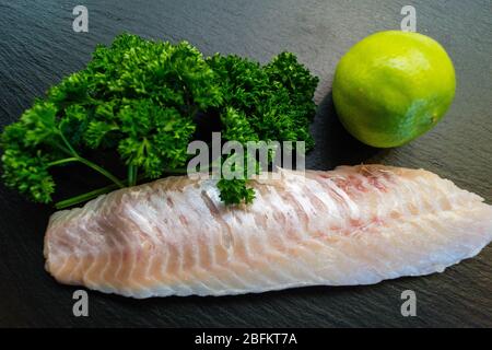 Fischfilet mit rotem Schnapper Sebastes norvegicus Stockfoto