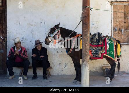 Buddhistisches Hochzeitsfest. Shangri La China 2019 Stockfoto