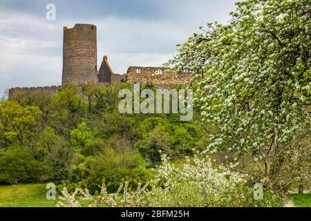 Burg Münzenberg, eine Ruine aus dem Hochmittelalter in der Stadt Münzenberg, Wetteraukreis, Hessen, Deutschland Stockfoto